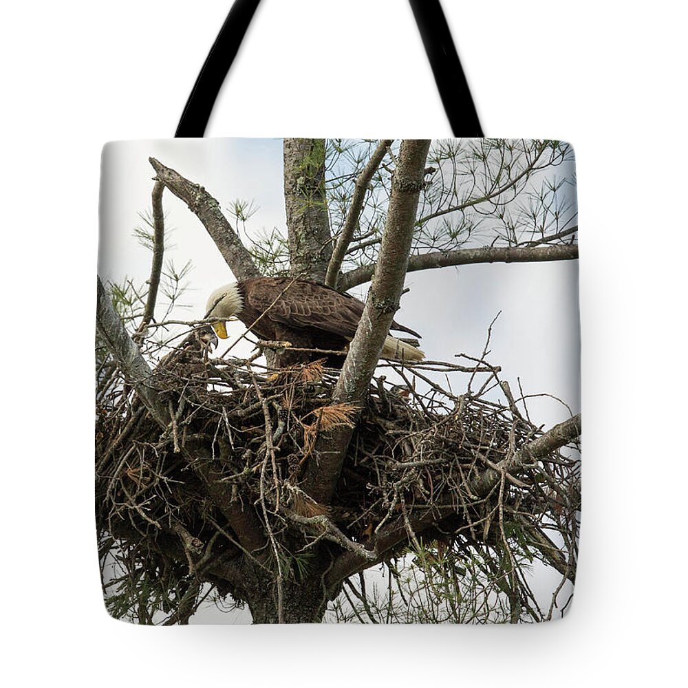  Tote Bag featuring the photograph Eagle Nest by Doug McPherson