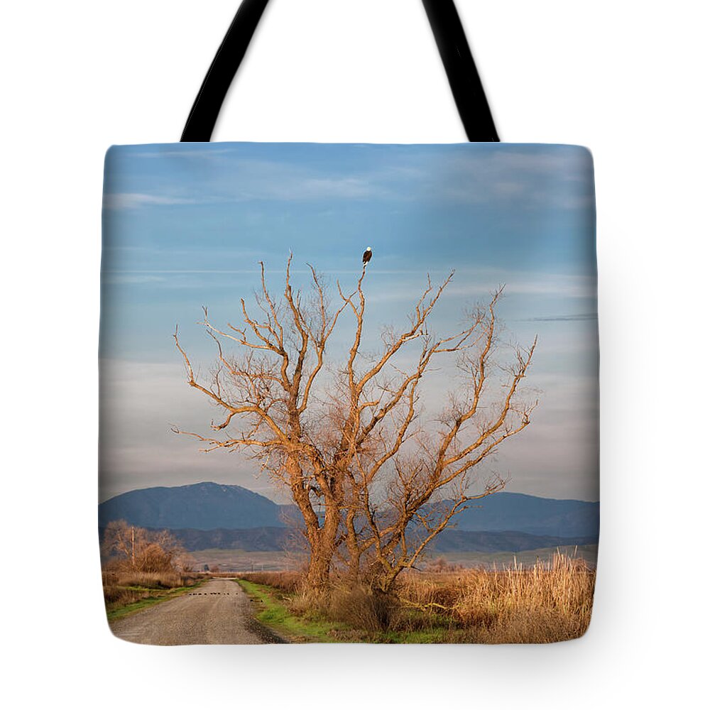 American Bald Eagle Tote Bag featuring the photograph Eagle Watch by Kathleen Bishop