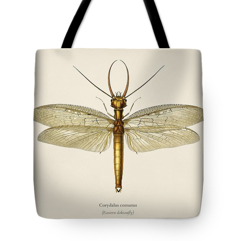 Insect Tote Bag featuring the painting Eastern dobsonfly Corydalus cornutus illustrated by Charles Dessalines D Orbigny 1806-1876 3 by Celestial Images