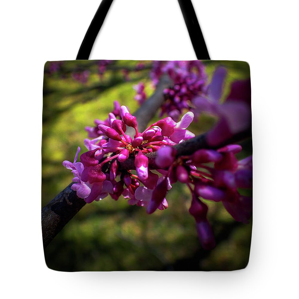 Cercis Canadensis Tote Bag featuring the photograph Eastern Redbud by Greg and Chrystal Mimbs