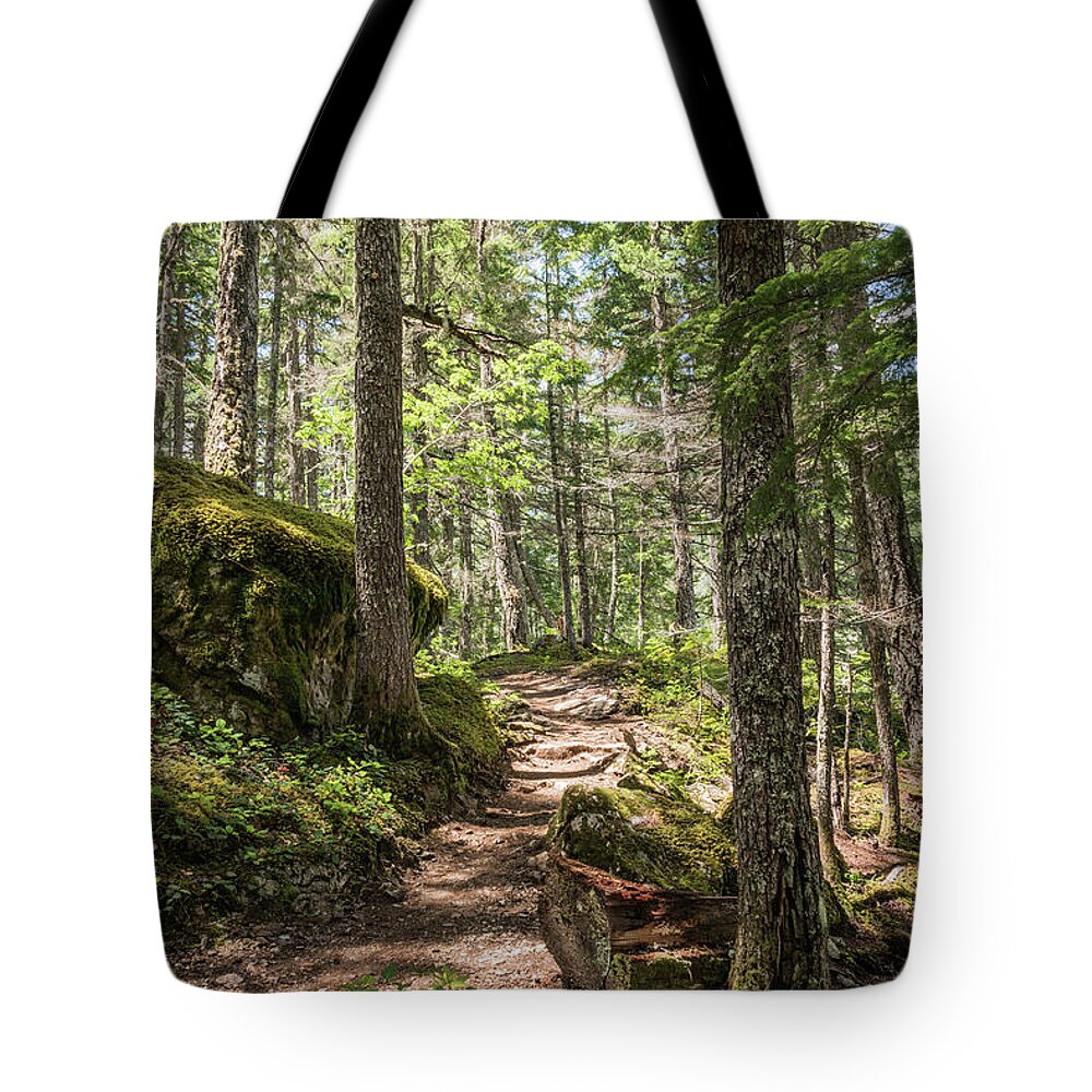 Ross Dam Trail Tote Bag featuring the photograph Easy Goes It by Kristopher Schoenleber
