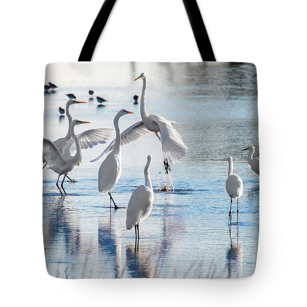 Birds Tote Bag featuring the photograph Egret Ballet 1400 by Donald Brown