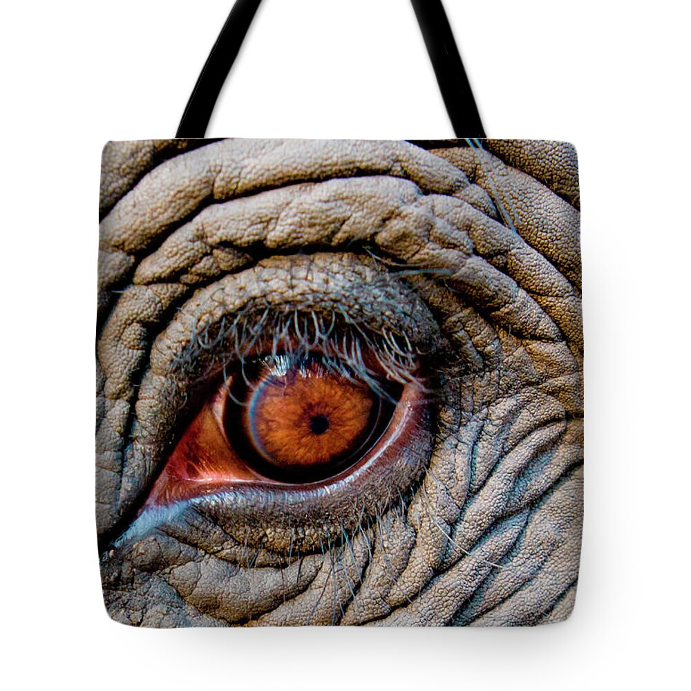 Animal Skin Tote Bag featuring the photograph Elephant Eye, Bandhavgarh National by Mint Images/ Art Wolfe