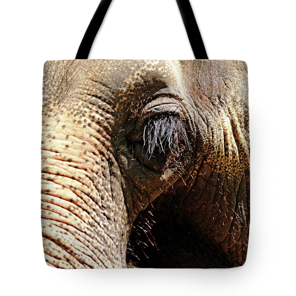 Elephant Tote Bag featuring the photograph Elephant Eye by Debbie Oppermann