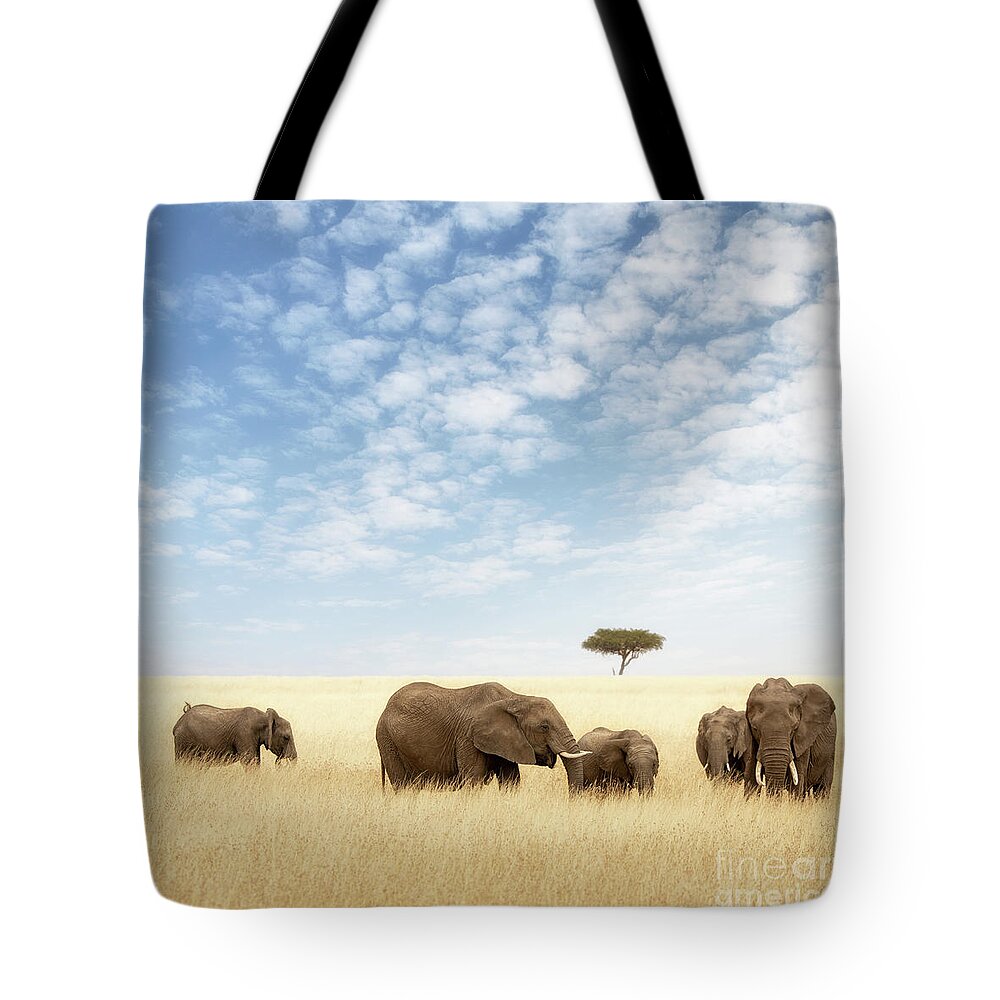 Elephant Tote Bag featuring the photograph Elephant group in the grassland of the Masai Mara by Jane Rix
