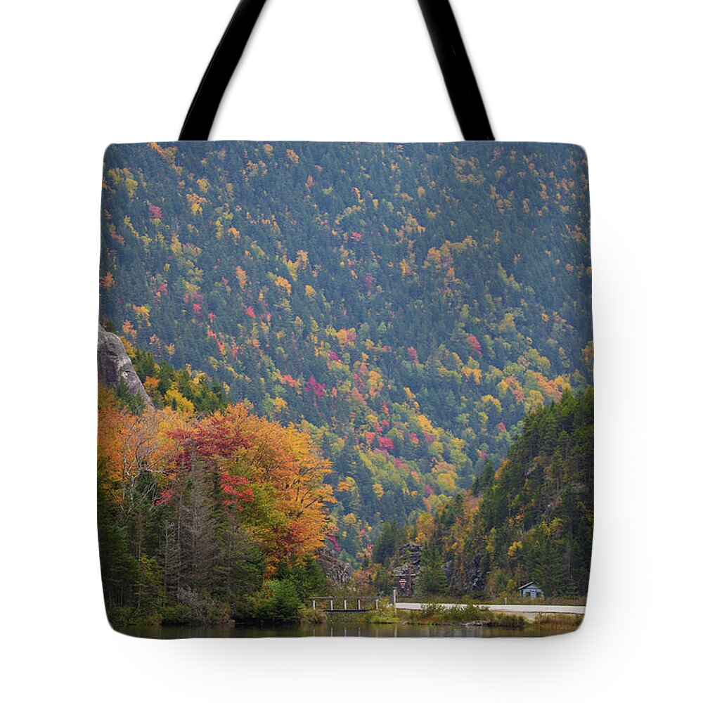 Elephant Tote Bag featuring the photograph Elephant Head Autumn by Chris Whiton