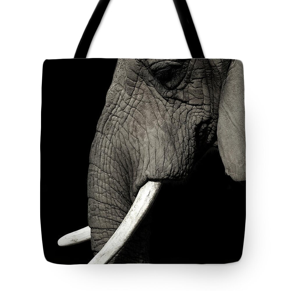 Animal Themes Tote Bag featuring the photograph Elephant by Krzysztof Hanusiak Photography