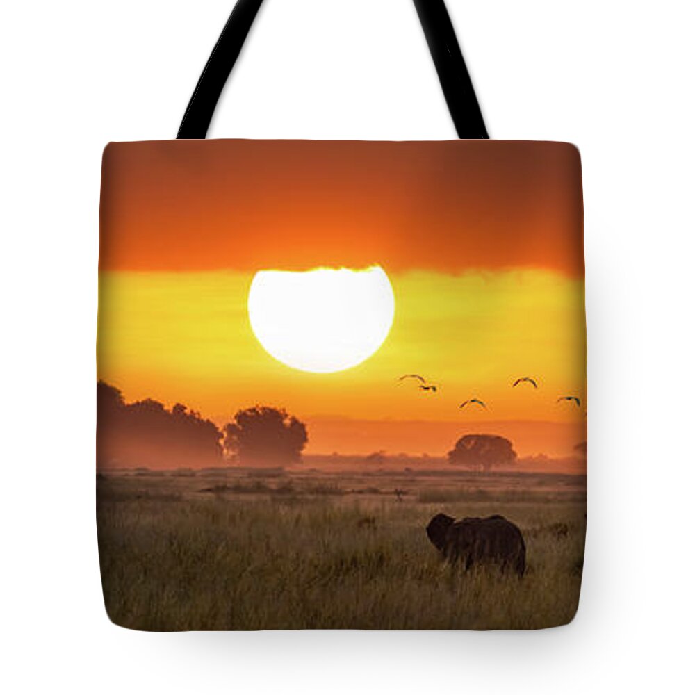 Amboseli Tote Bag featuring the photograph Elephants at sunrise in Amboseli, Horizonal Banner by Jane Rix