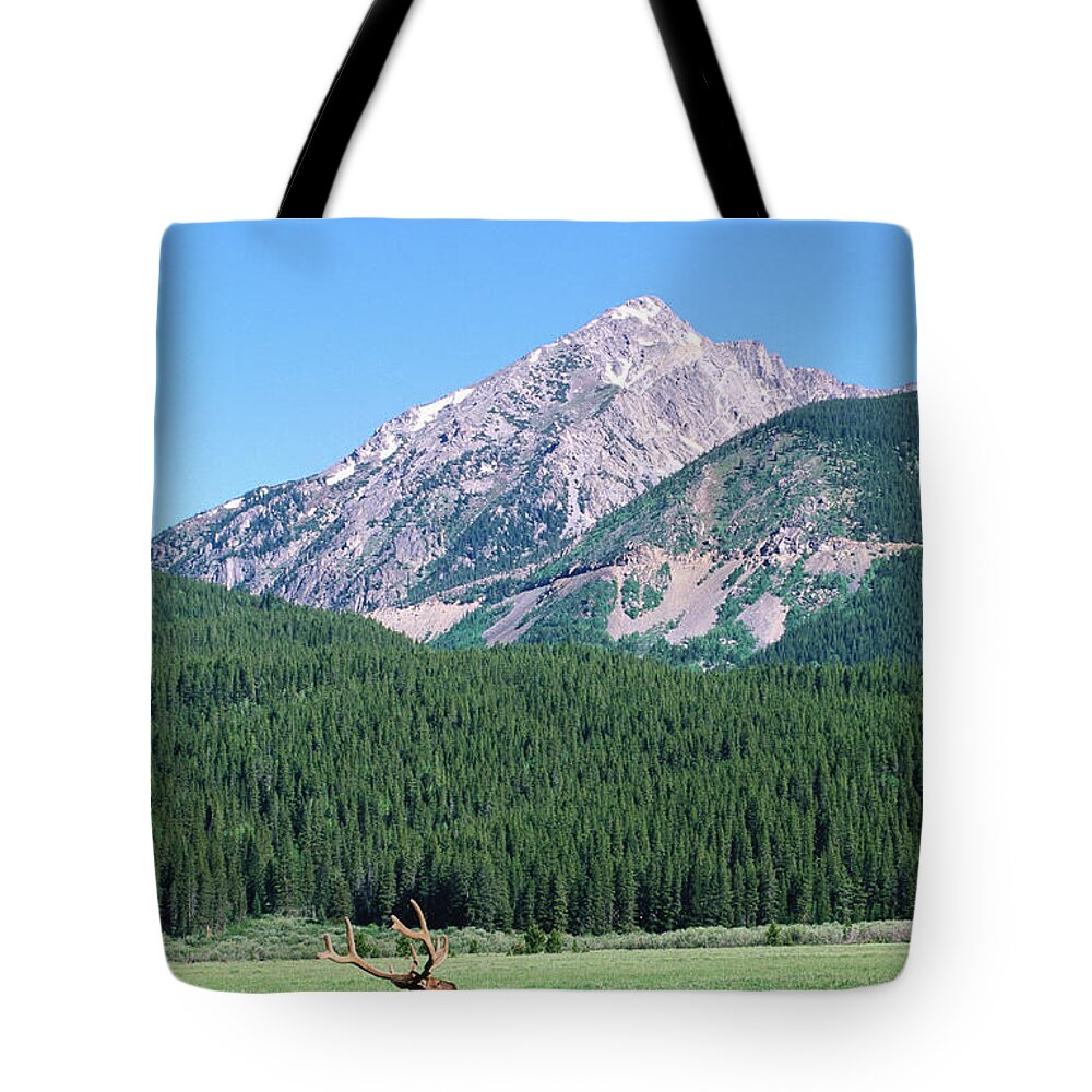 Shadow Tote Bag featuring the photograph Elk And Mountains Near Coyote Valley by Holger Leue