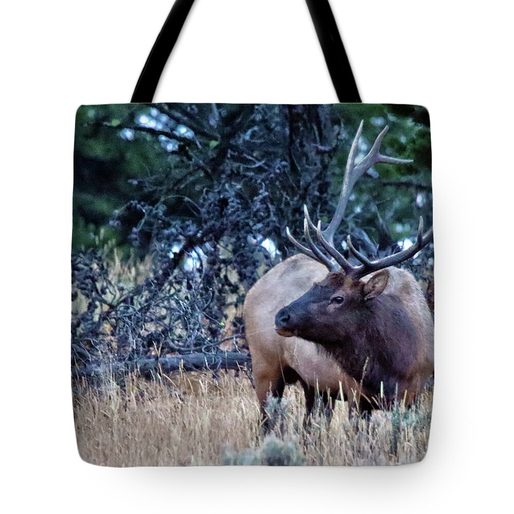 elk tote bag