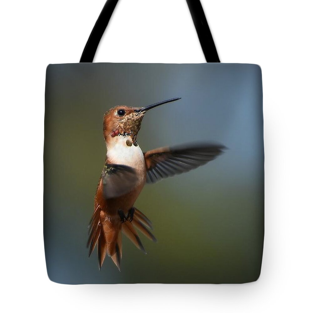 Allen's Hummingbird Tote Bag featuring the photograph Embrace by Fraida Gutovich
