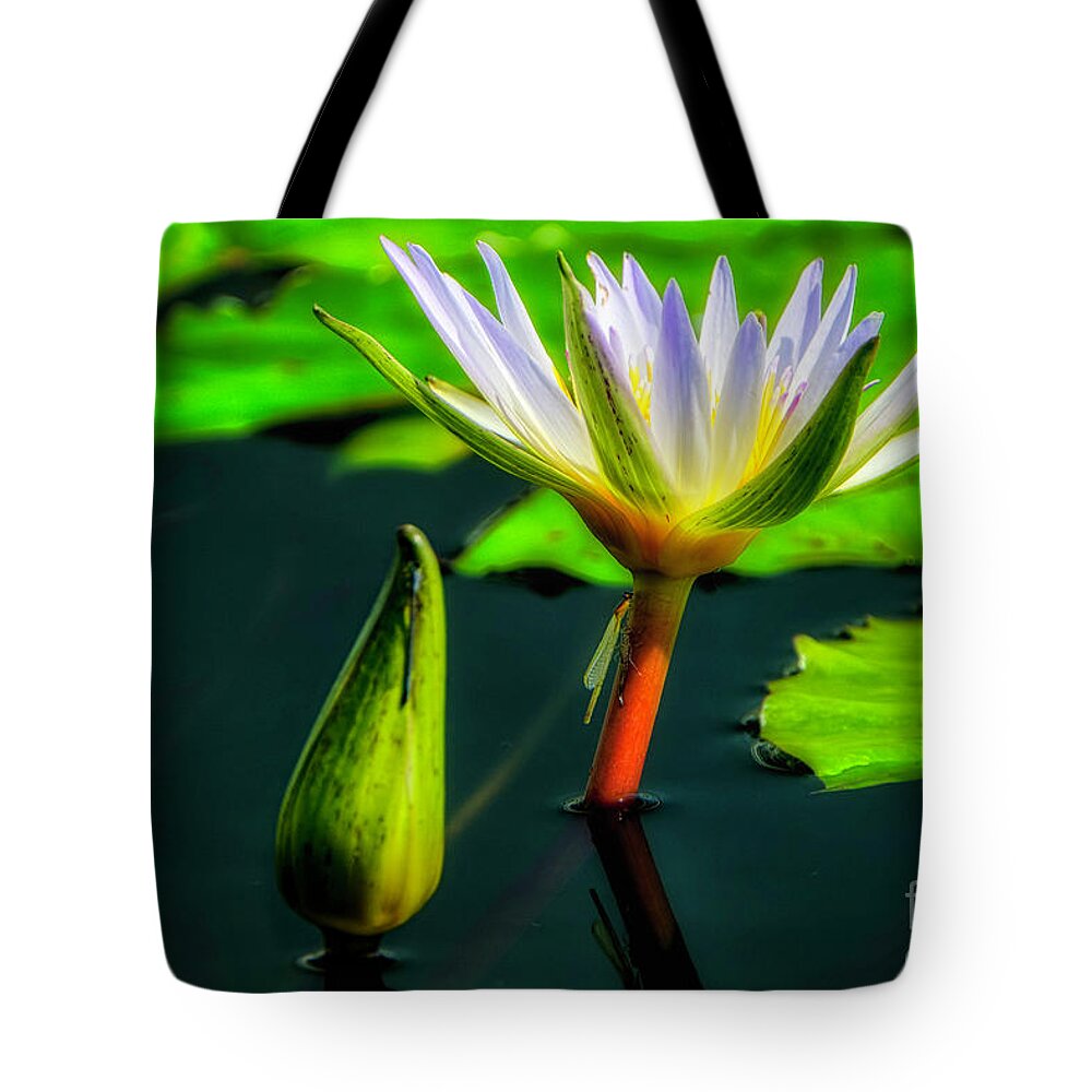 Aquatic Plant Tote Bag featuring the photograph Emergent by Bill Frische