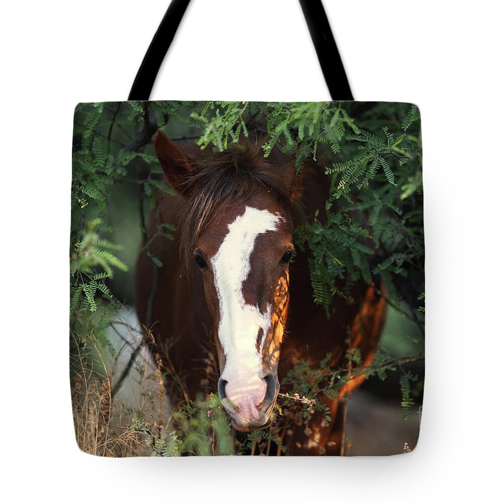 Mare Tote Bag featuring the photograph Emerging by Shannon Hastings