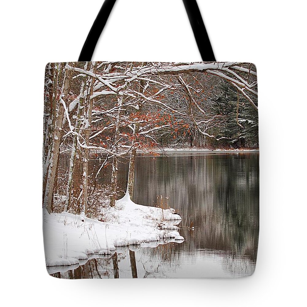 Wintertime Snow Trees Lake Bench Reflections Tote Bag featuring the photograph Empty Bench by Scott Burd