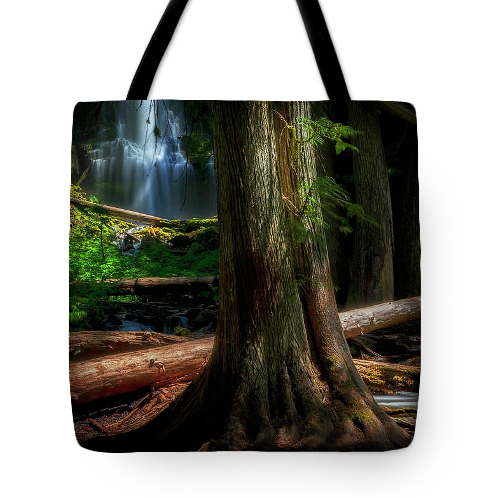 Tree Tote Bag featuring the photograph Enchanting Forest by Cat Connor