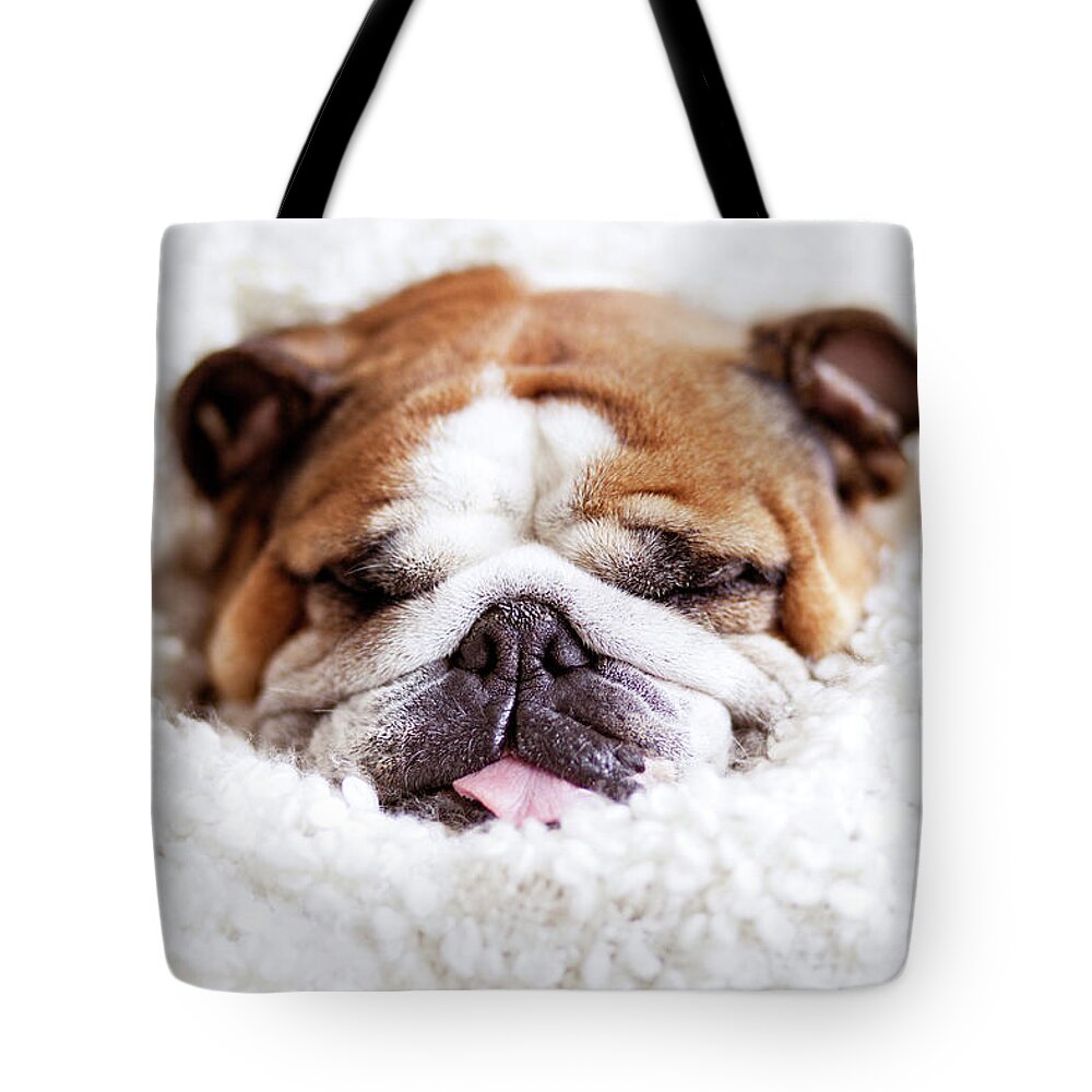 Pets Tote Bag featuring the photograph English Bulldog Sleeping In Fluffy by Hanneke Vollbehr
