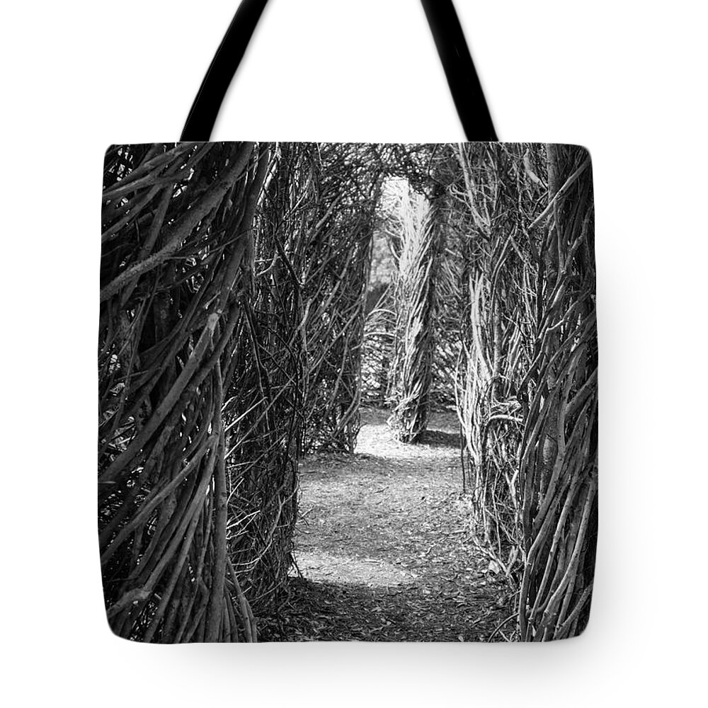 Photograph Tote Bag featuring the photograph Enter Carefully by Suzanne Gaff