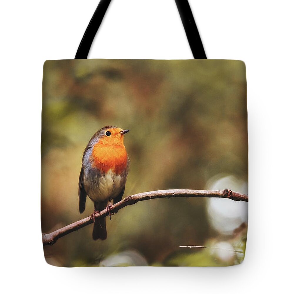 Robin Tote Bag featuring the photograph European Robin - Erithacus rubecula by Marc Braner
