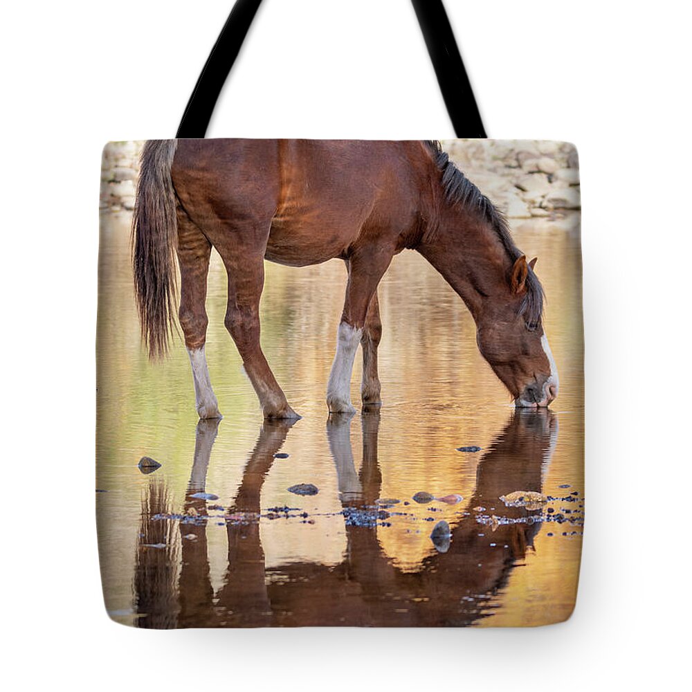 Wild Horses Tote Bag featuring the photograph Evening reflections by Mary Hone