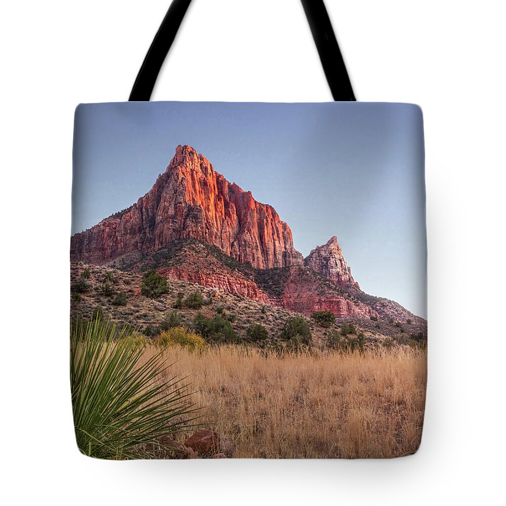 Zion Tote Bag featuring the photograph Evening Vista at Zion by James Woody