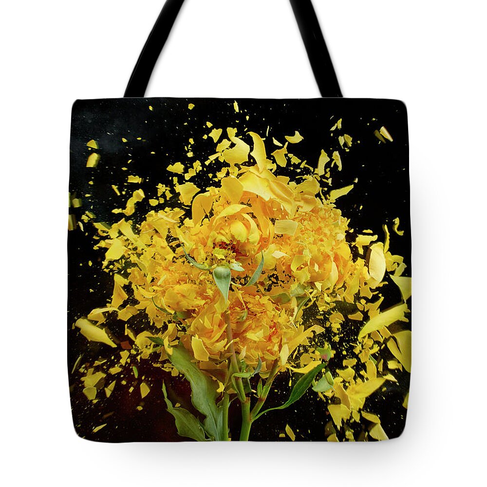 Black Background Tote Bag featuring the photograph Exploding Yellow Roses by Don Farrall