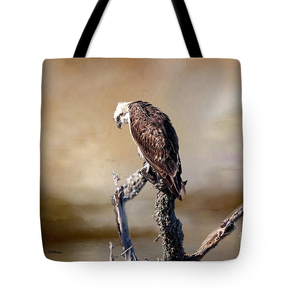 Ospreys Tote Bag featuring the mixed media EYE See You by DB Hayes