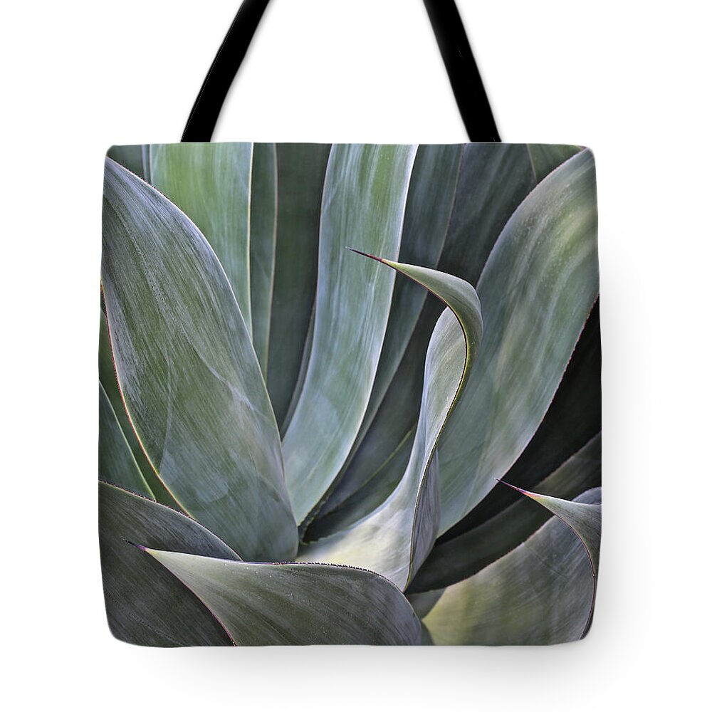 Plants Tote Bag featuring the photograph Faded Succulent Detail, 2017 by Svpimages