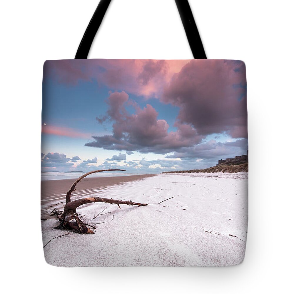 Landscape Tote Bag featuring the photograph Fairy Tale Castle with snow on the beach by Anita Nicholson