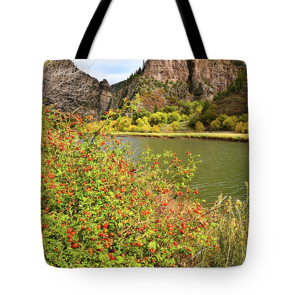  Tote Bag featuring the photograph Fall along Colorado River in Glenwood Canyon by Ray Mathis