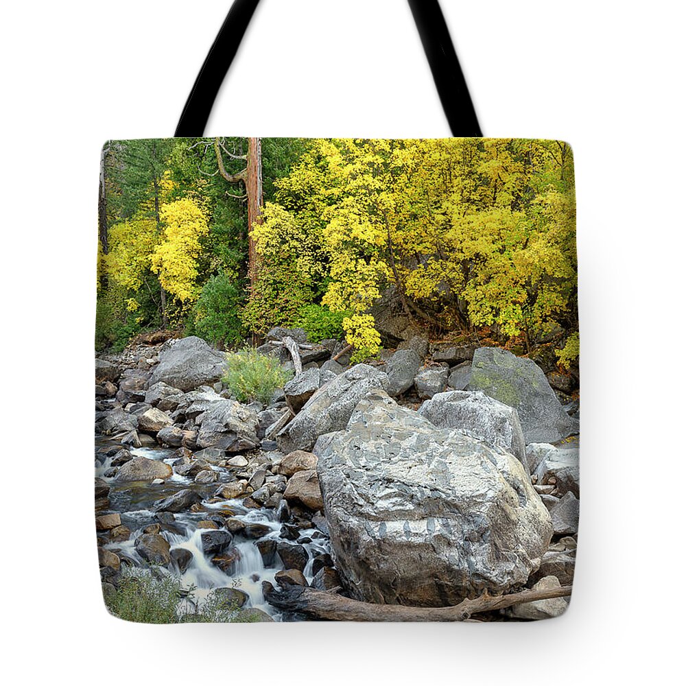 Aspen Trees Tote Bag featuring the photograph Fall along the Merced River in Yosemite National Park by Doug Holck