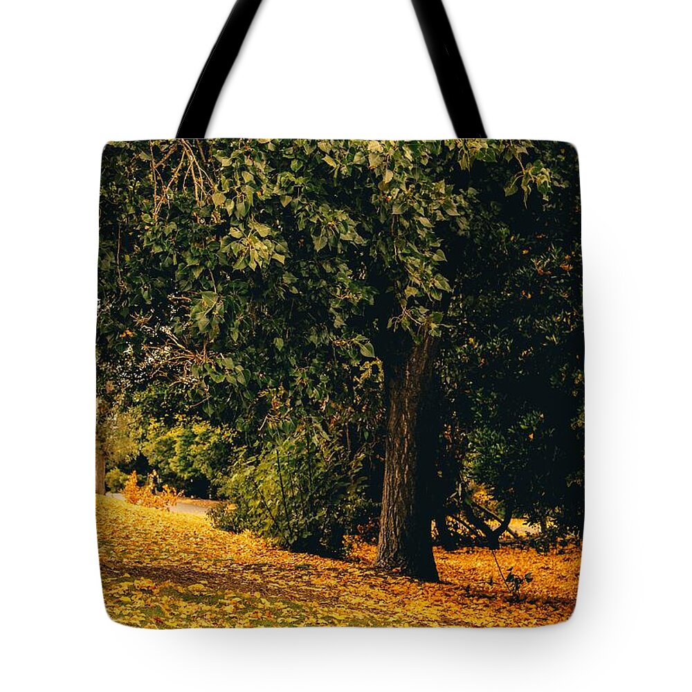 Fall Tote Bag featuring the photograph Fall by Anamar Pictures