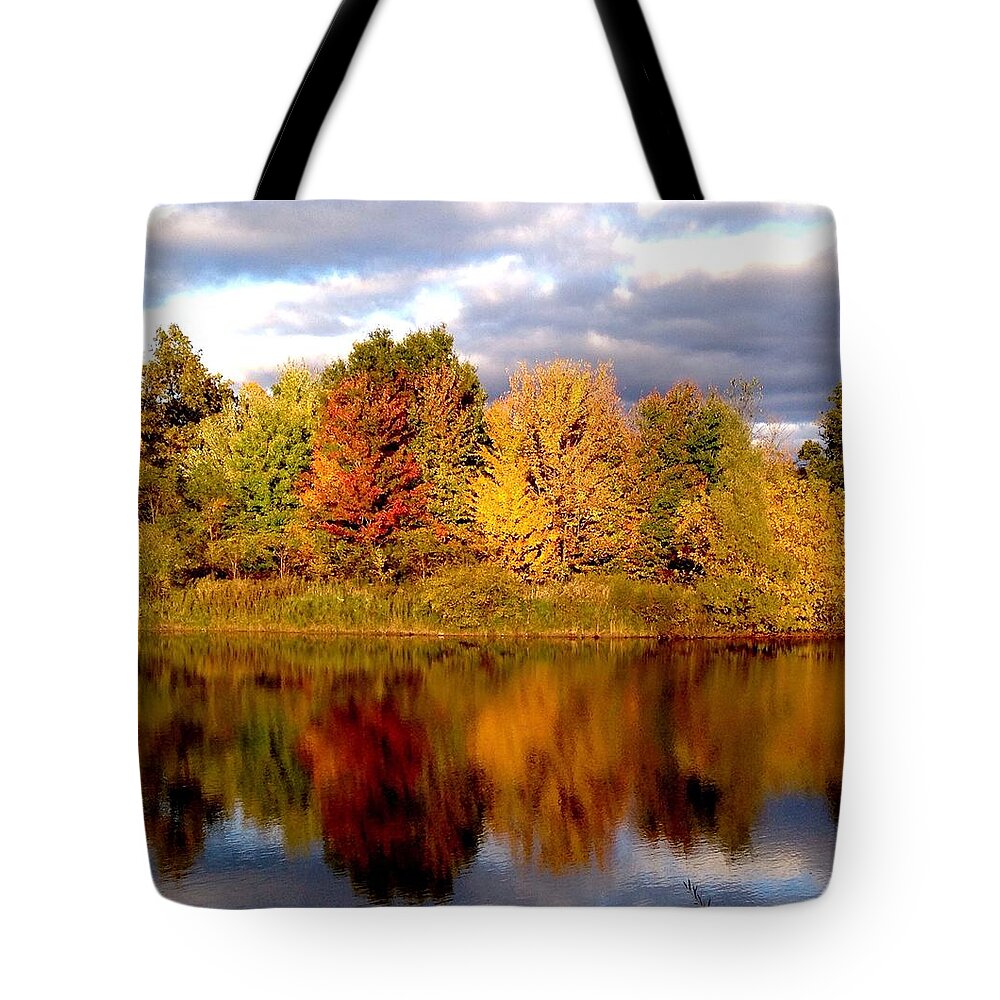 Landscape Tote Bag featuring the photograph Fall Color Blast by Marty Klar