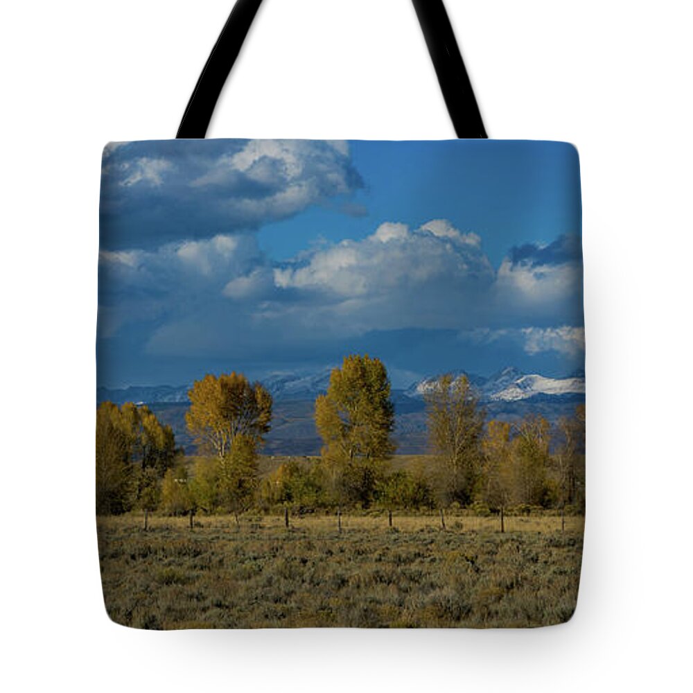 Fall Colors Tote Bag featuring the photograph Fall Colors with mountain in the background by Julieta Belmont