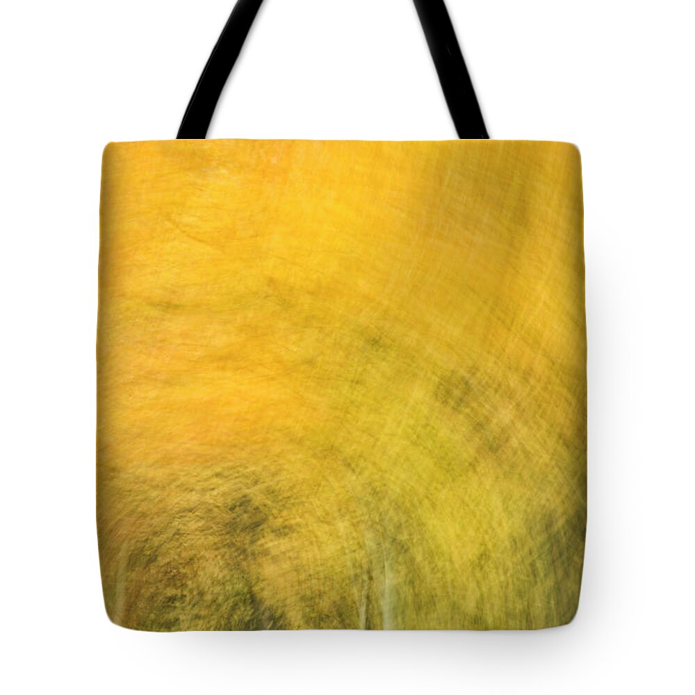 Abstract Tote Bag featuring the photograph Fall Frenzy by Denise Bush