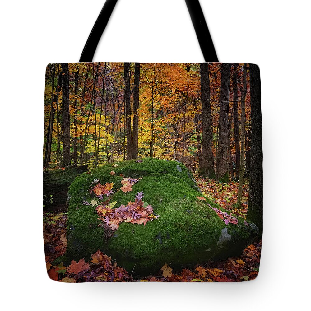 Fall Tote Bag featuring the photograph Fall in The Potholes by Virginia Folkman