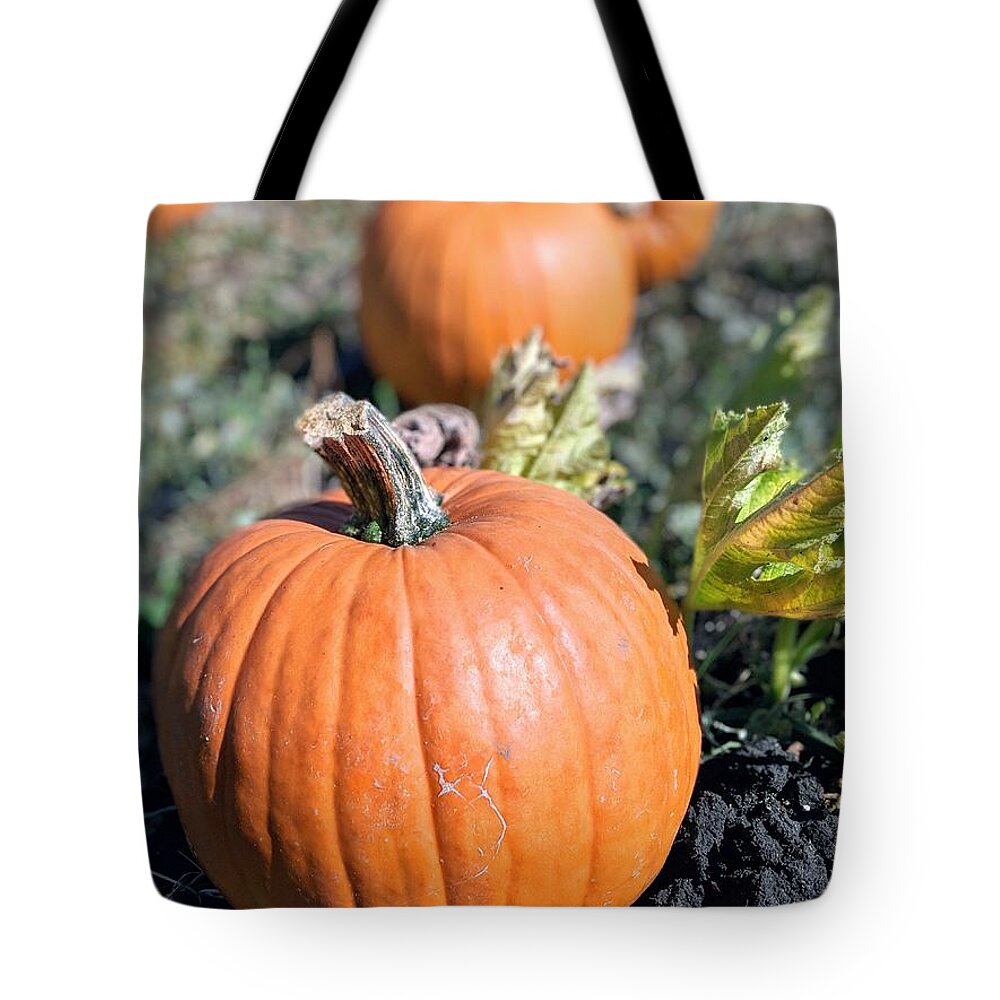 Pumpkin Tote Bag featuring the photograph Fall Pumpkins by Jeff Floyd CA