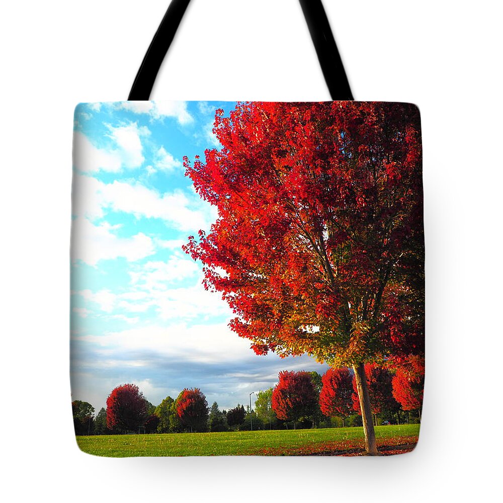 Season Tote Bag featuring the photograph Fall Sunset by Richard Thomas