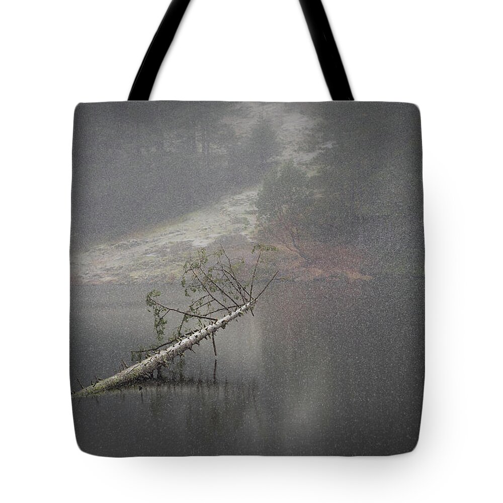 Snow Tote Bag featuring the photograph Fallen Giant by Lynn Wohlers