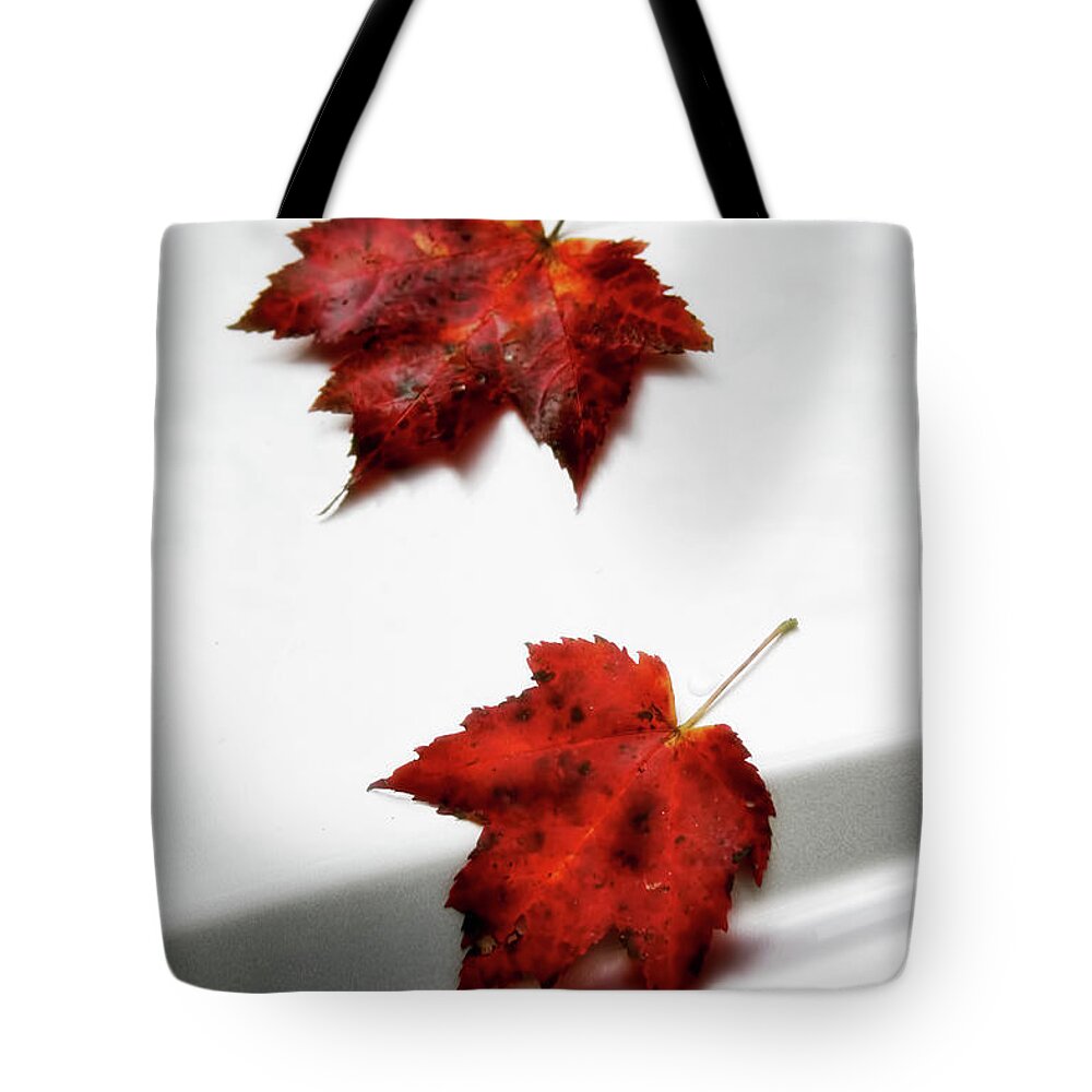 Maple Leaves Tote Bag featuring the photograph Fallen Leaves by Joan Bertucci