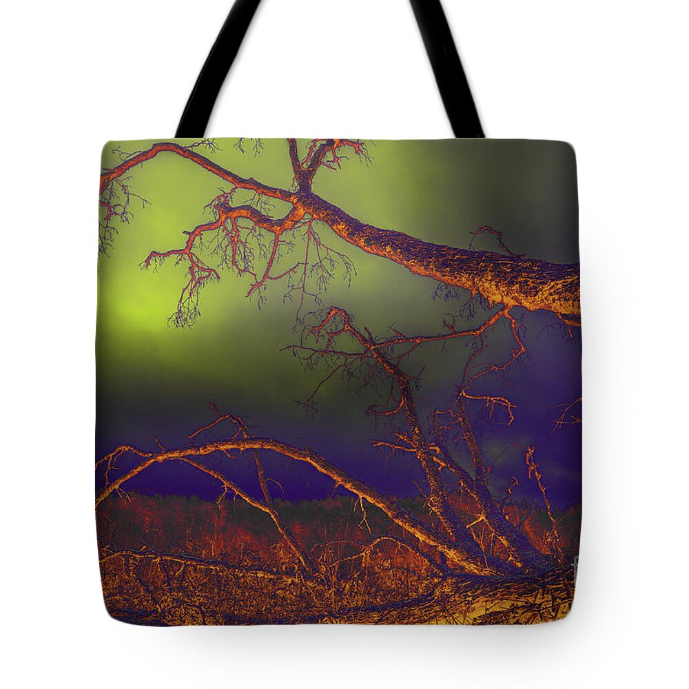 Tree Tote Bag featuring the photograph Fallen Tree by Mike Eingle