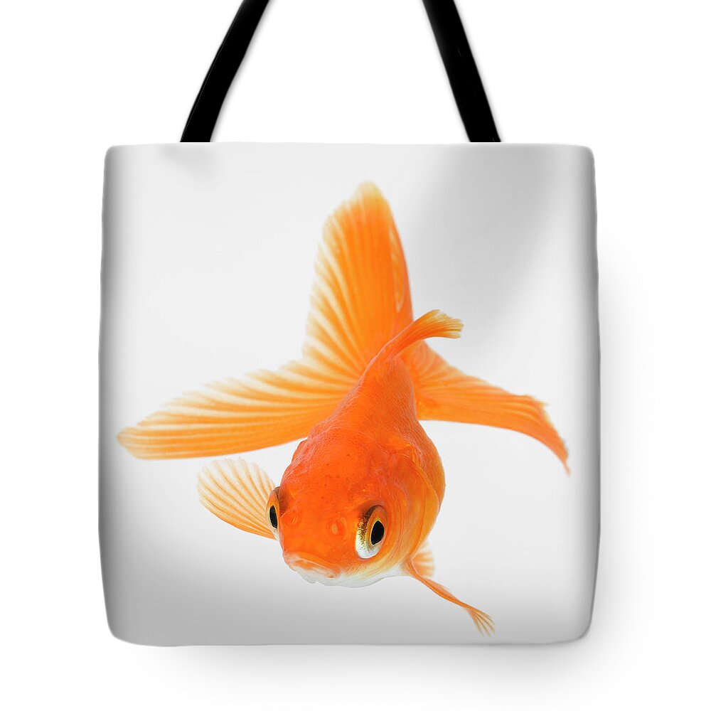 Pets Tote Bag featuring the photograph Fantail Goldfish Carassius Auratus by Don Farrall
