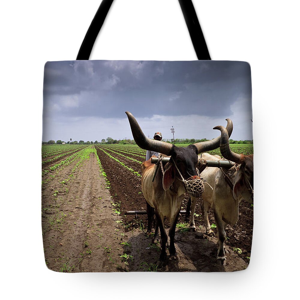 Working Tote Bag featuring the photograph Farm In Jetpur by © Neha & Chittaranjan Desai