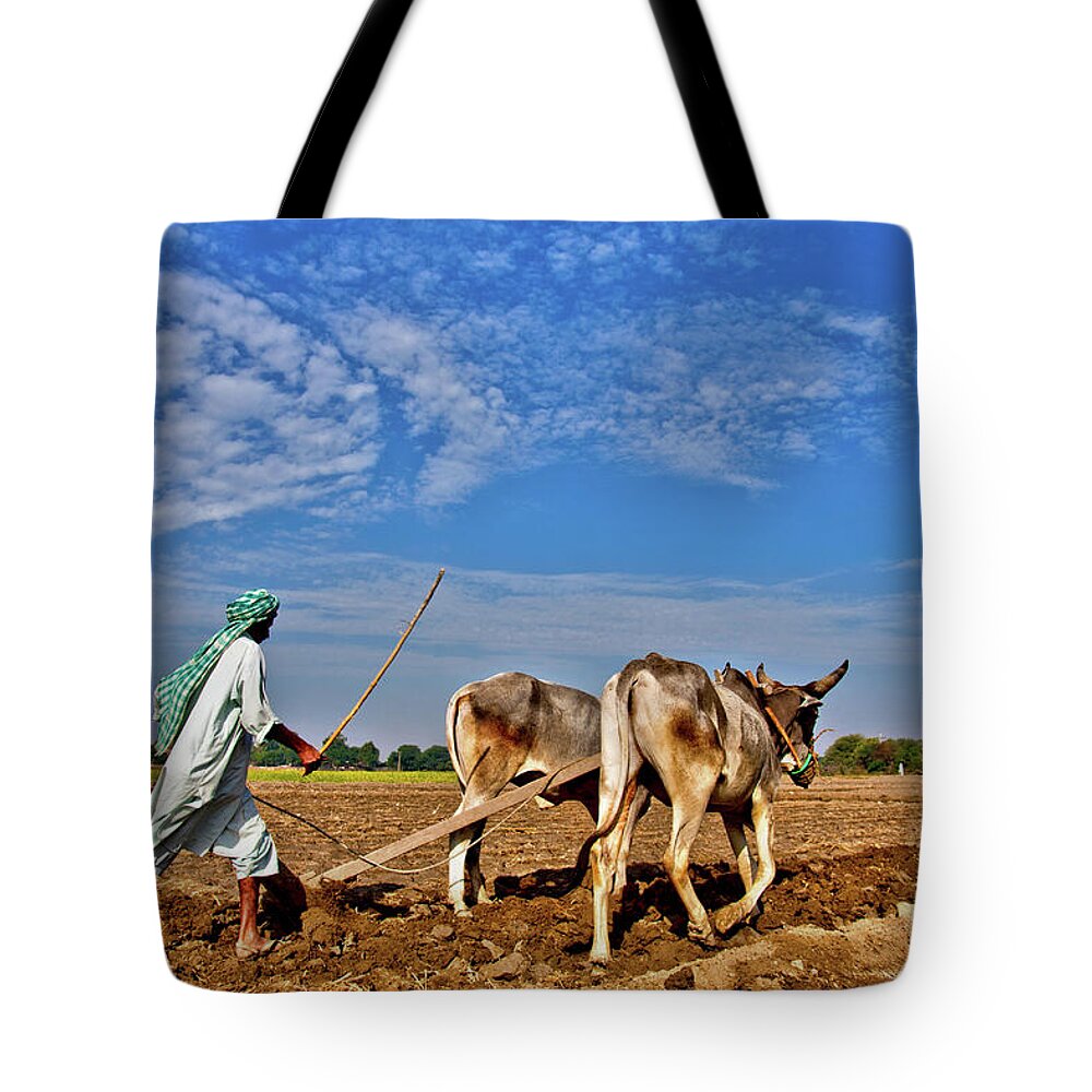Mature Adult Tote Bag featuring the photograph Farmer Ploughing With Bulls by Sm Rafiq Photography.