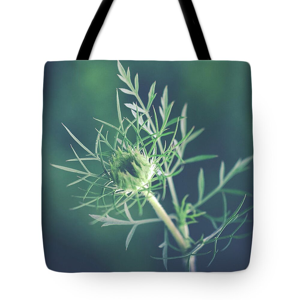 Nature Tote Bag featuring the photograph Fascinate by Michelle Wermuth
