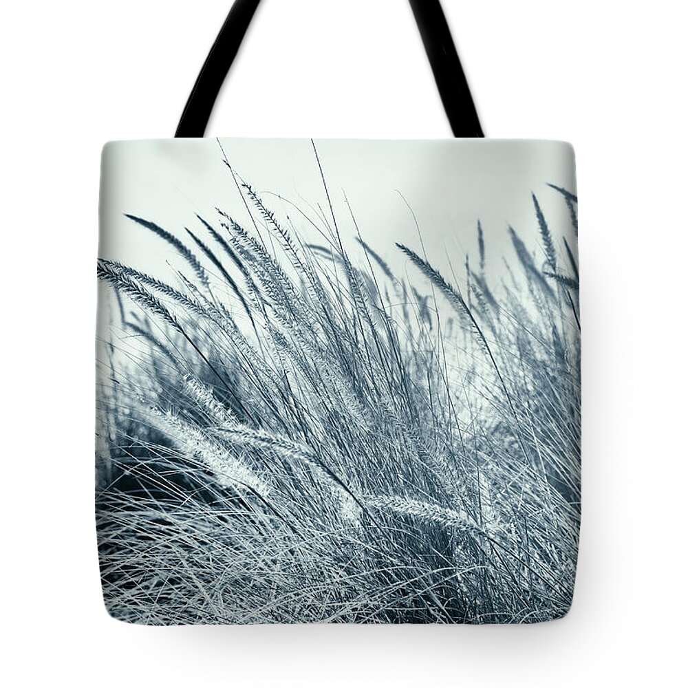 Estock Tote Bag featuring the digital art Feather Reed Grass Blowing In Wind by Laura Diez