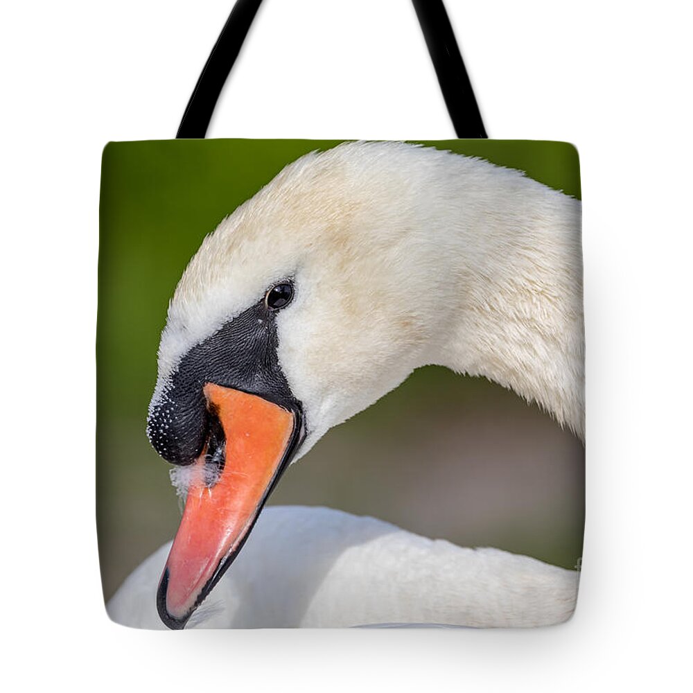 Photography Tote Bag featuring the photograph Feather stuck on the nares by Alma Danison