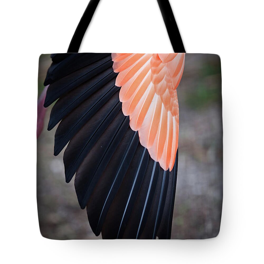 Davie Tote Bag featuring the photograph Feathers On Stretched Flamingo Wing by Photo By Elena Tarassova