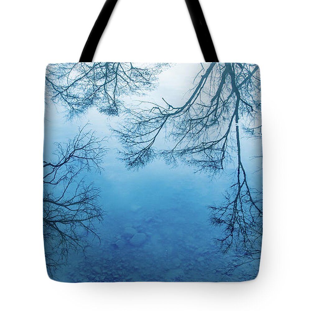 Foggy Tote Bag featuring the photograph Feathery Foggy Reflections in Blue by Marcy Wielfaert
