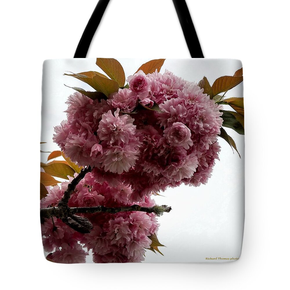Botanical Tote Bag featuring the photograph Pink Feeling by Richard Thomas