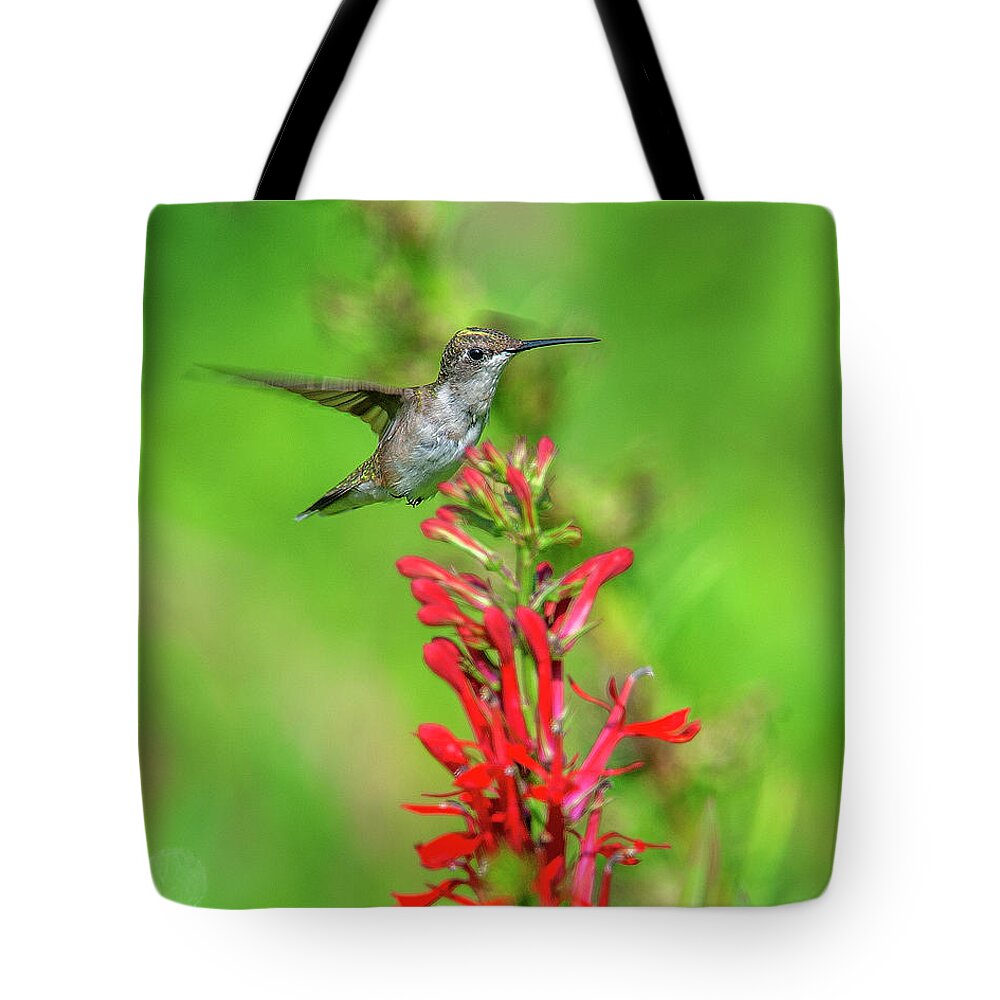 Nature Tote Bag featuring the photograph Female Ruby-throated Hummingbird DSB0316 by Gerry Gantt